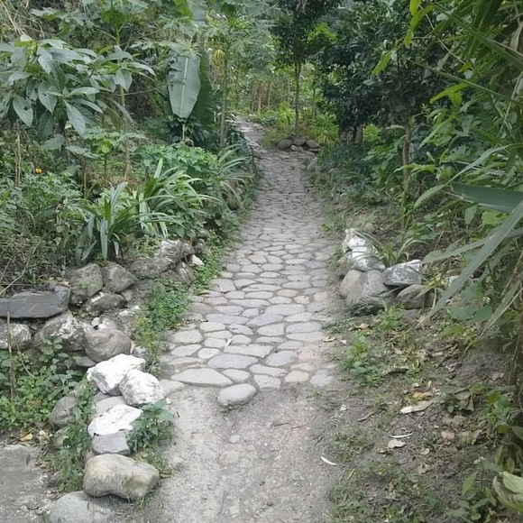 Meet your Posher, Susan - Picture 4 of 5